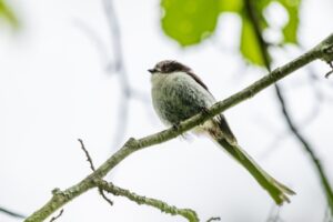 静岡県磐田市のおすすめ公園なび