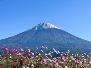 静岡でしか味わえない絶品！さわやかのげんこつハンバーグ