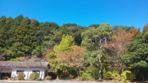 静岡県磐田市のおすすめ公園なび